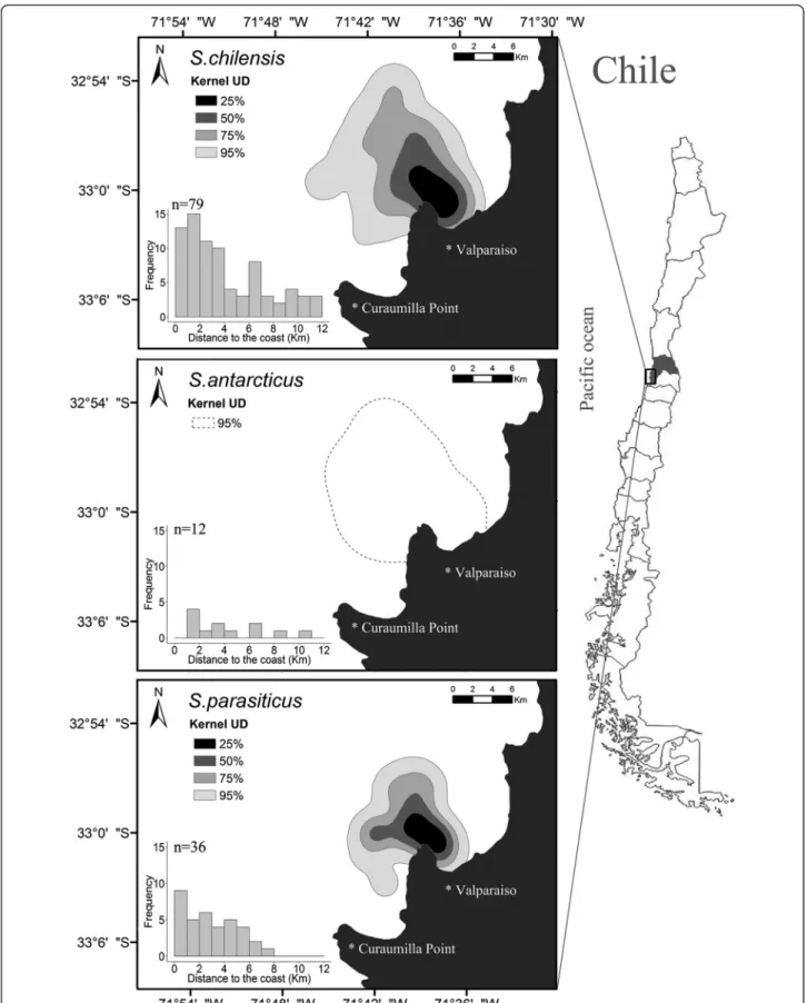 Figure 3 Maps of 25%, 50%, 75%, and 95% kernel contours of at-sea distribution for skuas and jaegers