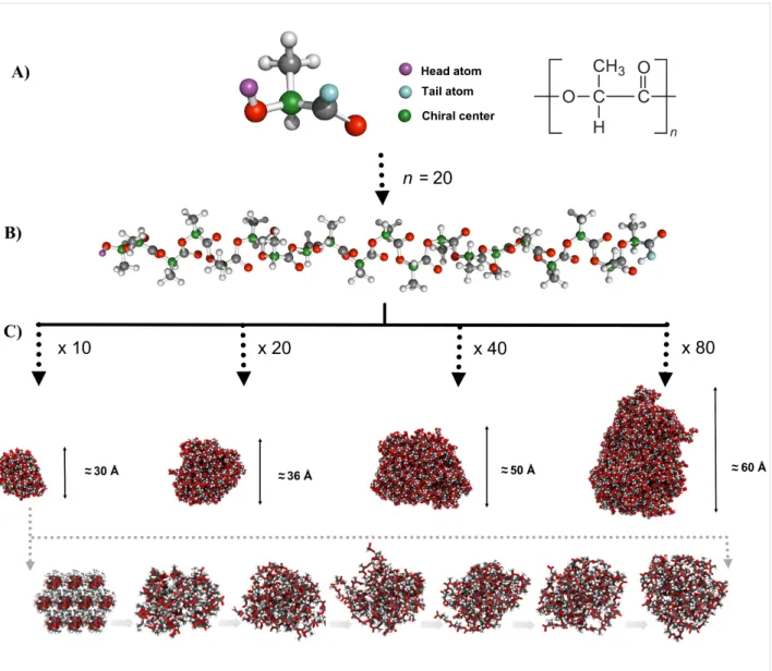 Figure 1: Schematic representation of PLA core formation process. Ball and stick representation of A) lactic acid monomer unit and atom definition for polymeric chain formation, B) poly(D,L-lactic acid) 20 monomer structure and C) van der Waals representat