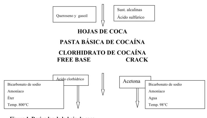 Figura 1. Derivados de la hoja de coca 