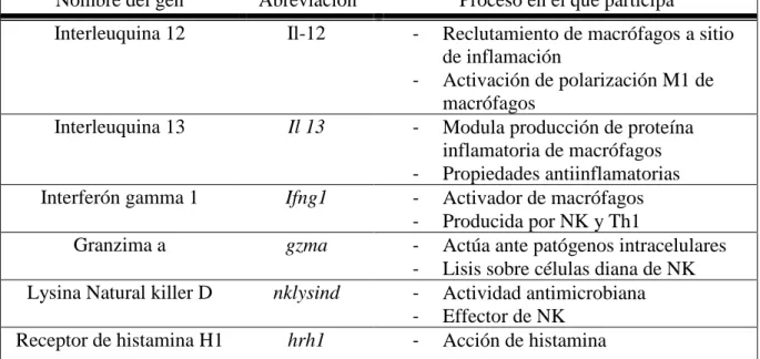 Tabla 2. Genes de inmunidad innata y adaptativa evaluados 
