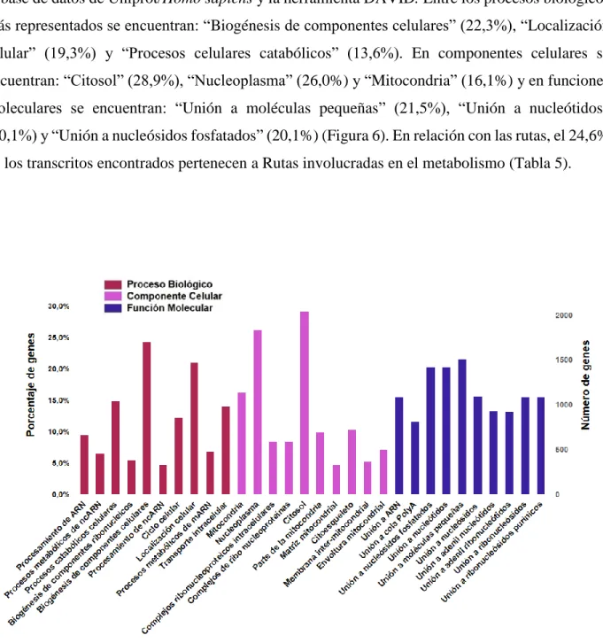 Figura 6. Anotación de ontología génica (OG) del transcriptoma. Detalle de los 10 primeros  términos  OG  de  cada  categoría;  Proceso  biológico,  Componente  celular  y  Función  molecular  anotados con DAVID para el transcriptoma total, utilizando la b
