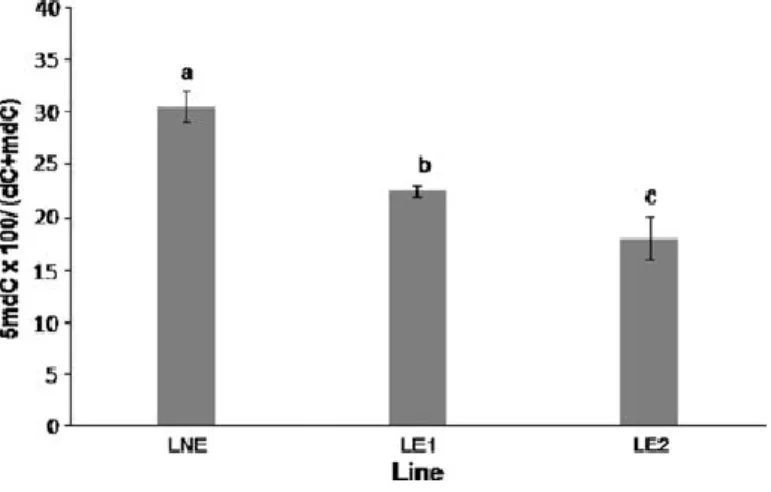 Fig.  8.  Porcentaje  de  citosinas  metiladas  en  ADN  genómico  de  las  distintas  líneas  celulares