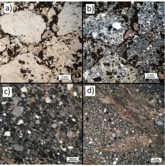 Figura 3.9. Secciones transparentes de clastos y matriz de brechas sedimentarias polimícticas