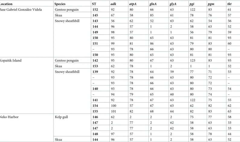 Table 4. Allele numbers and sequence types (STs) of 24 Campylobacter lari isolates from the Antarcitc Peninsula in 2014