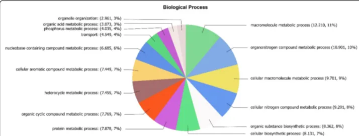 Fig. 1 Pie chart of percentage of protein sequences associated with different biological processes obtained from the transcriptomic analyses performed in the marine alga Ulva compressa cultivated with 10 μM copper for 0, 3, 6, 12 and 24 h