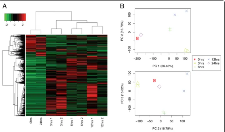 Fig. 3 Gene expression profile and sample-to-sample distance relationships. a Heatmap representing the expression levels (read counts) of the differentially expressed transcripts (FDR &lt; 0.01, FC &gt; 2) across samples: 0, 3, 6, and 12 h ( “3 h 1”, “3 h 