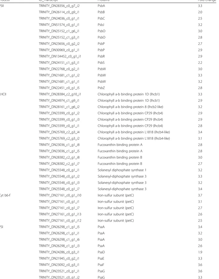 Table 2 Up-regulated genes related to photosynthesis