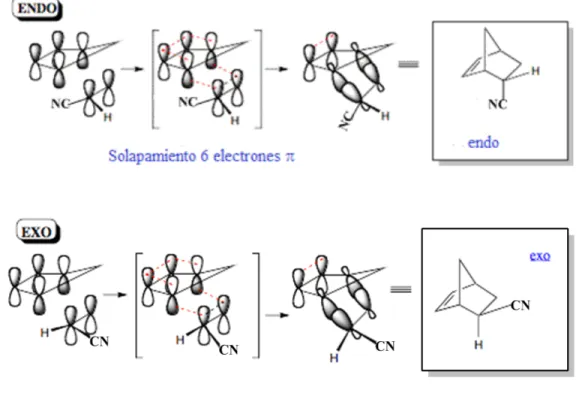 Figura 1. Orientación endo y exo. 