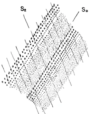 Figura 5. —Esquema de un pliegue plegado, de FI por la F2 en fa serie de Ordenes. Carretera de Meirama a Carral.