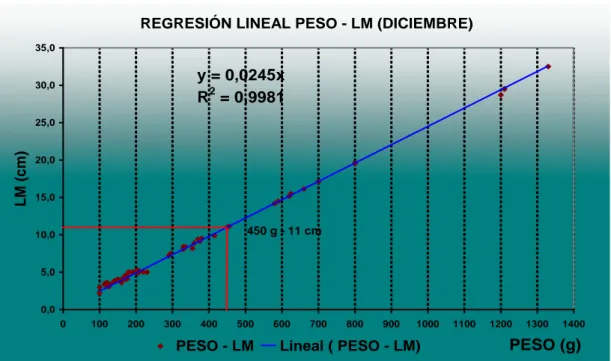 GRÁFICO 2: Regresión lineal entre peso y LDM en el mes de diciembre  2008 de la captura de O