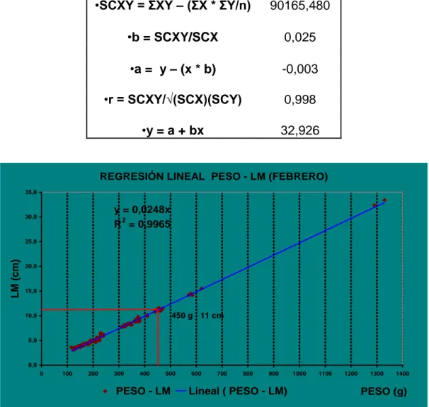 GRÁFICO 4: Regresión lineal entre peso y LDM en el mes de febrero 2009  de la captura de O