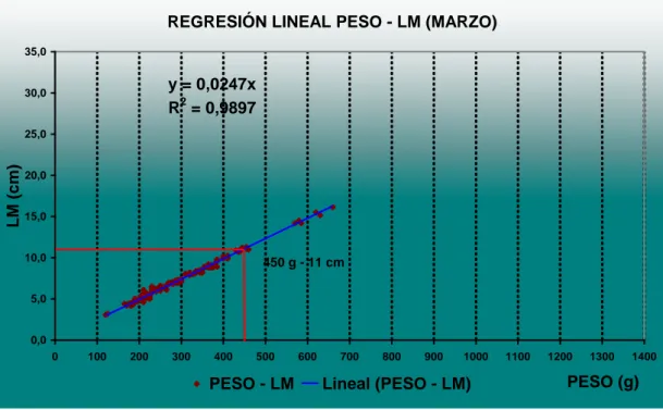 GRÁFICO 12: Regresión lineal entre peso y LDM en el mes de marzo 2009  de la captura de O