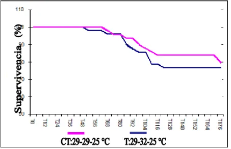 Figura 7. Supervivencia de camarones expuestos a WSSV vía inmersión (expresada  en porcentaje) durante 8 días post-desafío, luego de ser tratados a dos temperaturas