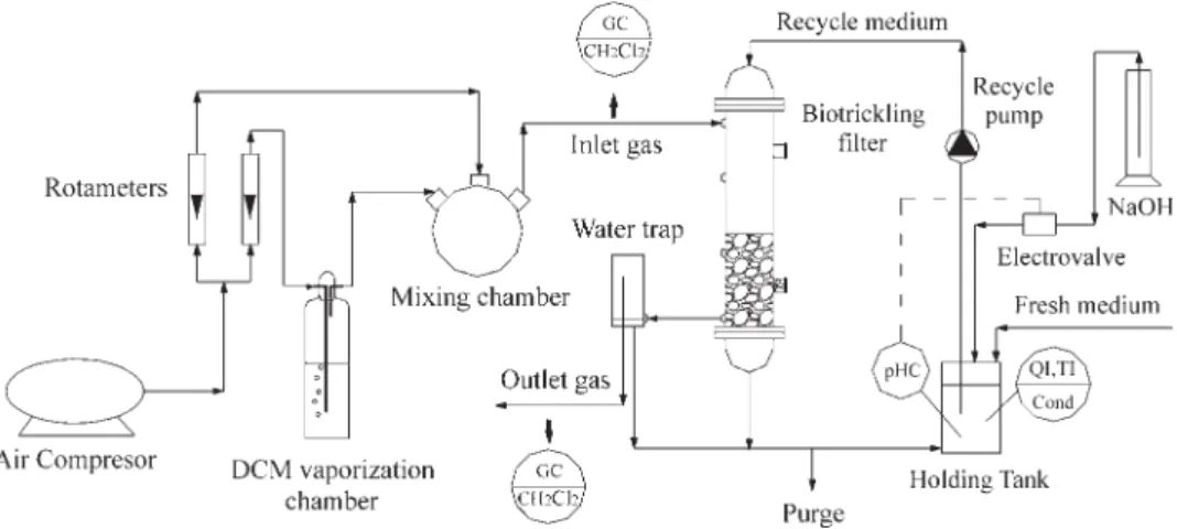 Figure 1. Scheme of the laboratory biotrickling filter system.