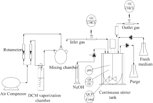 Figure 2. Scheme of the continuous stirred tank bioreactor.