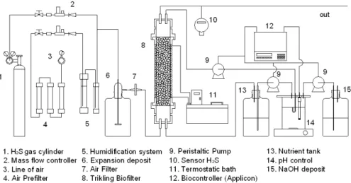 Figure 1. Diagram of the experimental setup  2.3 Analytical techniques 
