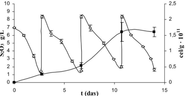 Figure 2. Evolution of thiosulfate and immobilized biomass  as a function of time during repeated-batch cultivation