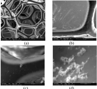 Figure 3. Scanning electron micrographs of biomass support particles removed during  immobilization process.Magnification: (a) x130; (b) x500; (c) x1000; (d) x15000