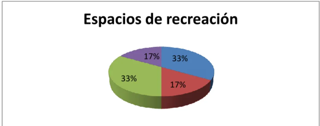 Gráfico Nº 13 