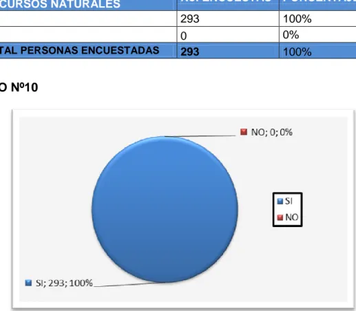 GRÁFICO Nº10 