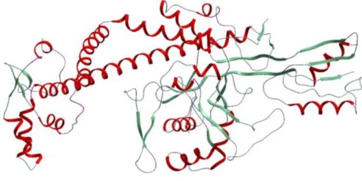 Figure 1. 3D representation of DNA gyrase. 