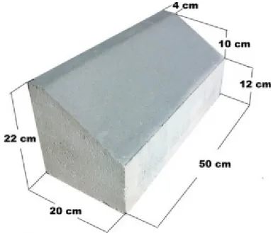 Figura 3. Bordillo tipo C5 