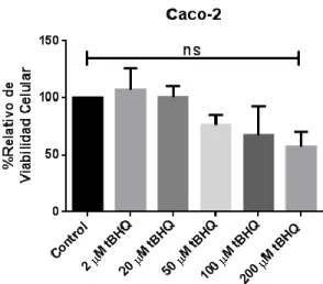 Figura  4.  Curva  dosis-respuesta  de  concentraciones  crecientes  de  tBHQ  realizadas  en  la  línea celular intestinal Caco-2 evaluando la viabilidad celular mediante MTT