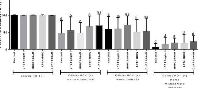 Figura 12. Análisis de la expresión proteica de HO-1, expresadas en porcentaje con respecto  al porcentaje de células DAPI (+), de los ensayos de inmunofluorescencia en células HT-29  post-tratamiento con tBHQ (), LPS (10 g/ml) y ambos en co-estímulo
