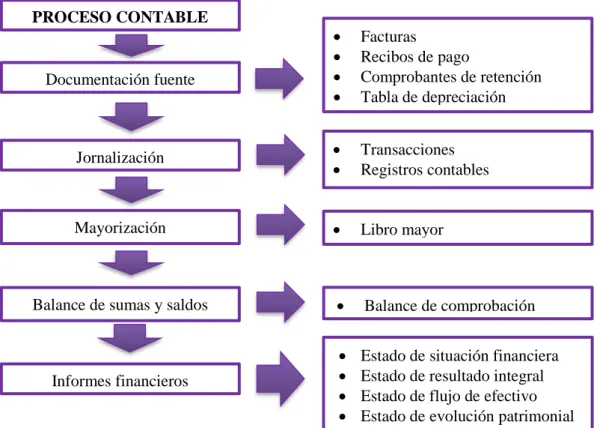 Gráfico 1 Proceso contable  