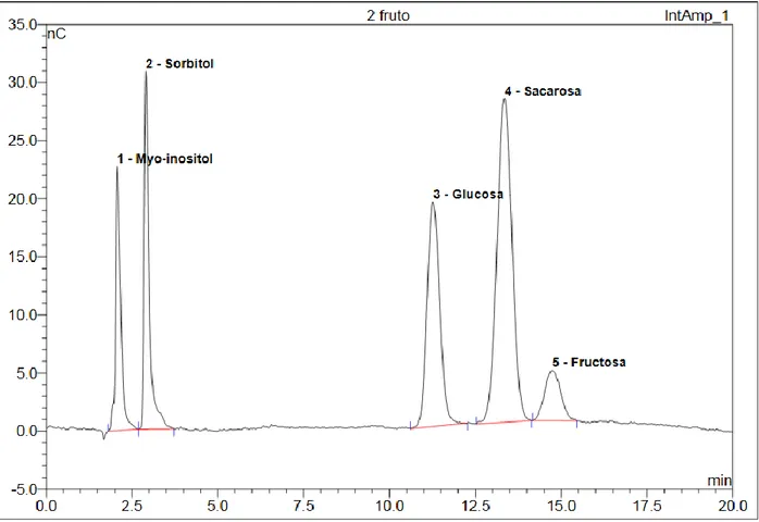 Figura 7. Curva estándar de azúcares obtenida por HPAEC-PAD. Cromatograma de la mezcla de estándares de  azúcares mioinositol, sorbitol, glucosa, sacarosa y fructosa