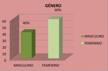 Gráfico N° 1.  