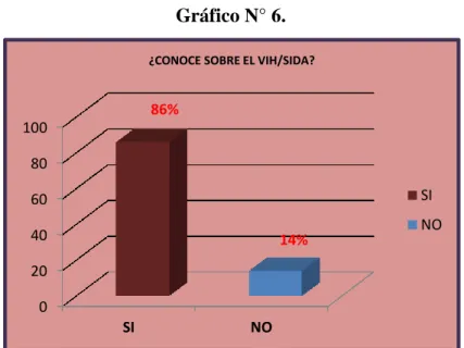 Gráfico N° 6. 