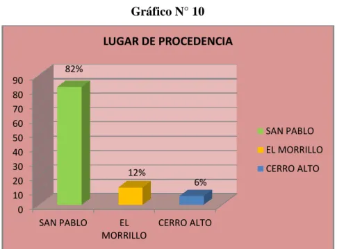 Gráfico N° 10 