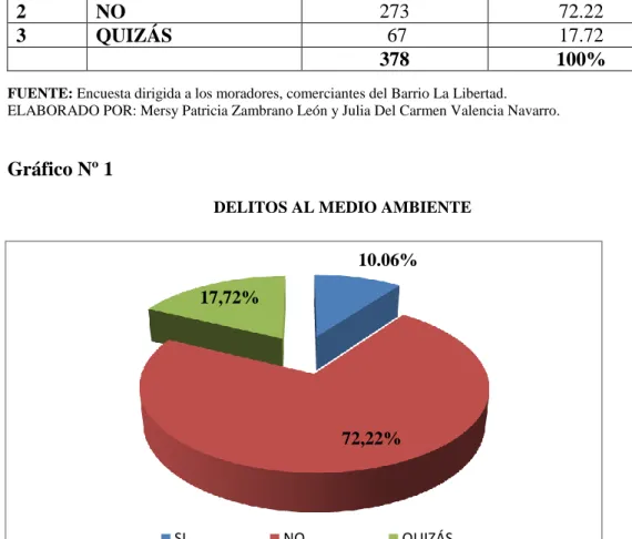 Gráfico Nº 1 