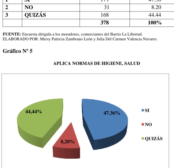 Gráfico Nº 5 