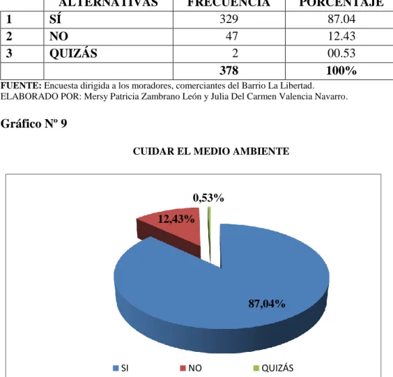 Gráfico Nº 9 