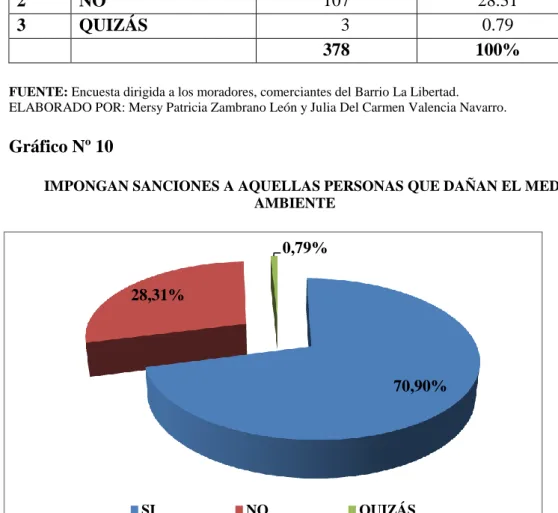 Gráfico Nº 10 
