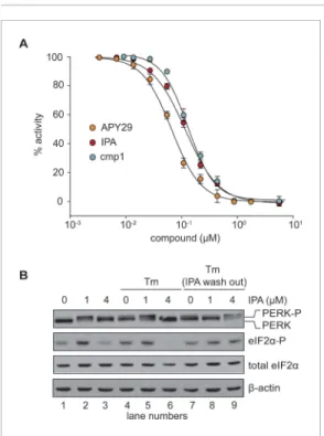 Figure supplement 1. Audioradiographs of IPA, Cmp1 and APY29 tested against PERK-GST fusion protein.