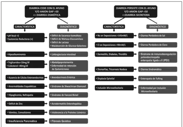 Figura 4. Algoritmo  para el diagnóstico  dife-rencial de diarrea  congé-nita según el anion GAP  de deposiciones.