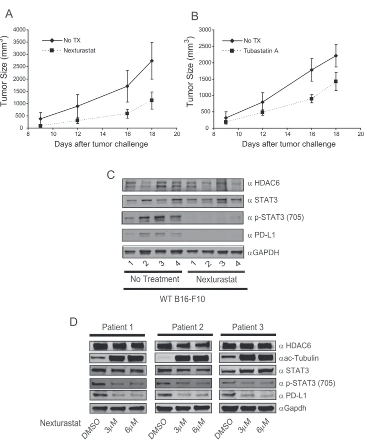 Figure 6 e Selective HDAC6 inhibitors down-regulate PD-L1 expression in vivo. In vivo tumor growth of C57BL/6 mice injected subcutaneously with B16-F10-luc WT cells