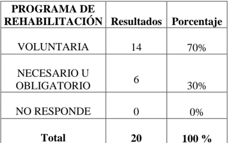 Tabla No. 07  PROGRAMA DE 