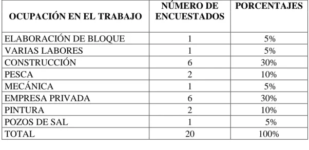 Tabla 8.  Tipo de ocupación. 