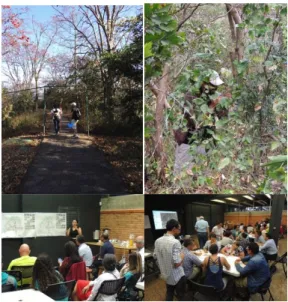 Fig. 2. Field work and participatory workshops. 