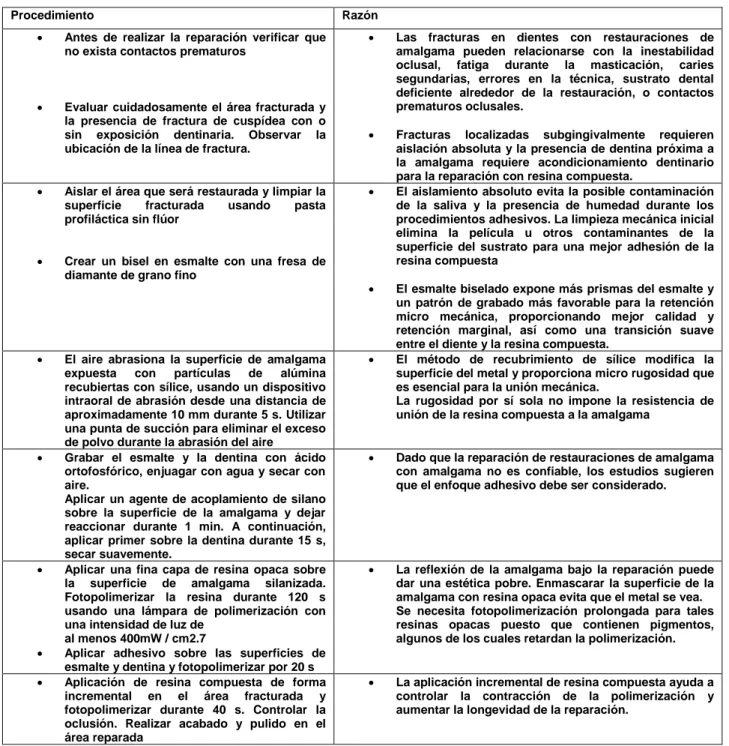 Tabla 2: Protocolo de acondicionamiento de superficie. 