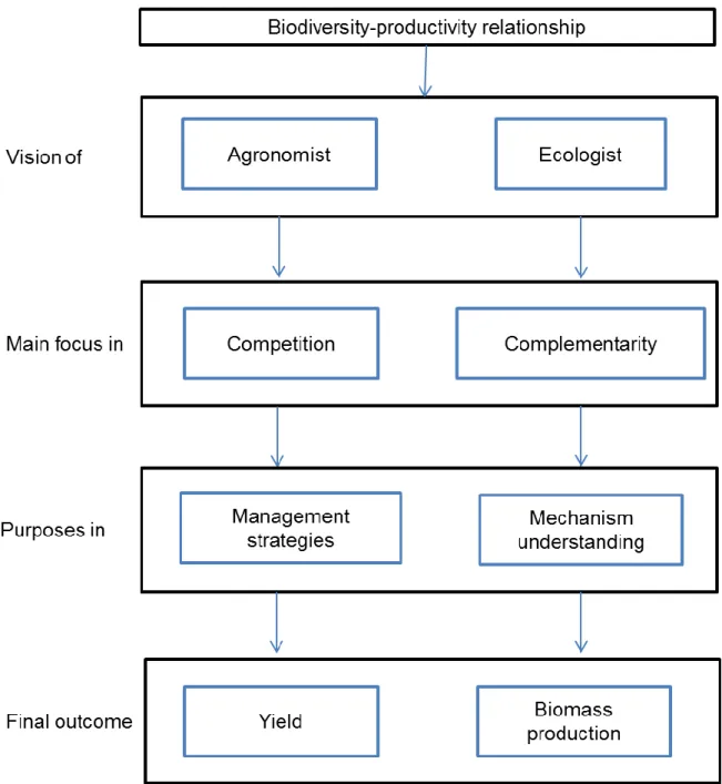 Figura  2.  Enfoque  y  diferencias  entre  los  énfasis  en  las  áreas  de  agronomía  y  ecología  en  la  relación biodiversidad-productividad, (fila superior), distinción entre los principales mecanismos  de enfoque entre áreas (segunda fila), diferen