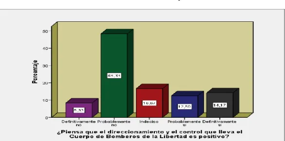 Gráfico 10. Direccionamiento y Control