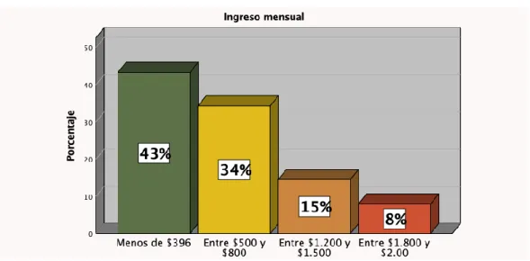 Gráfico 2: Ingreso mensual 