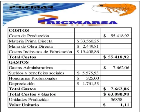 Tabla 14  Costos y gastos 