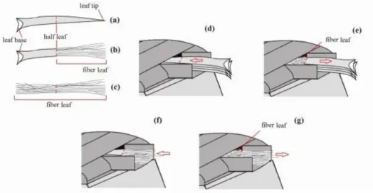 Fig. 2. Machine removal of fibers from A. comosus leaves. Source: Moya and Camacho (2014) 