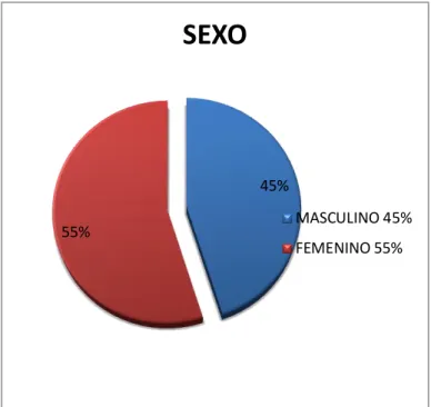 Gráfico N° 4 